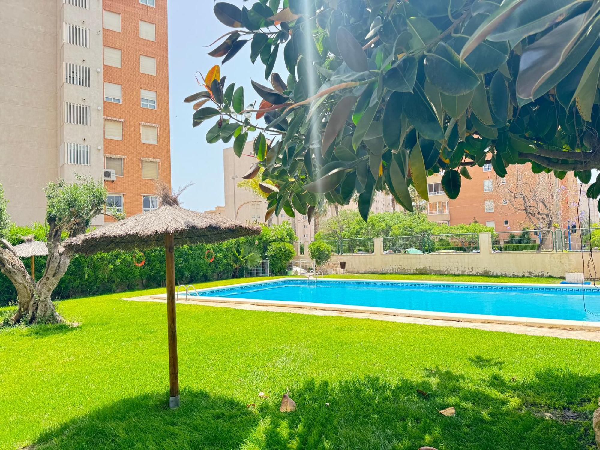 Estudio Con Piscina Alicante Exterior photo
