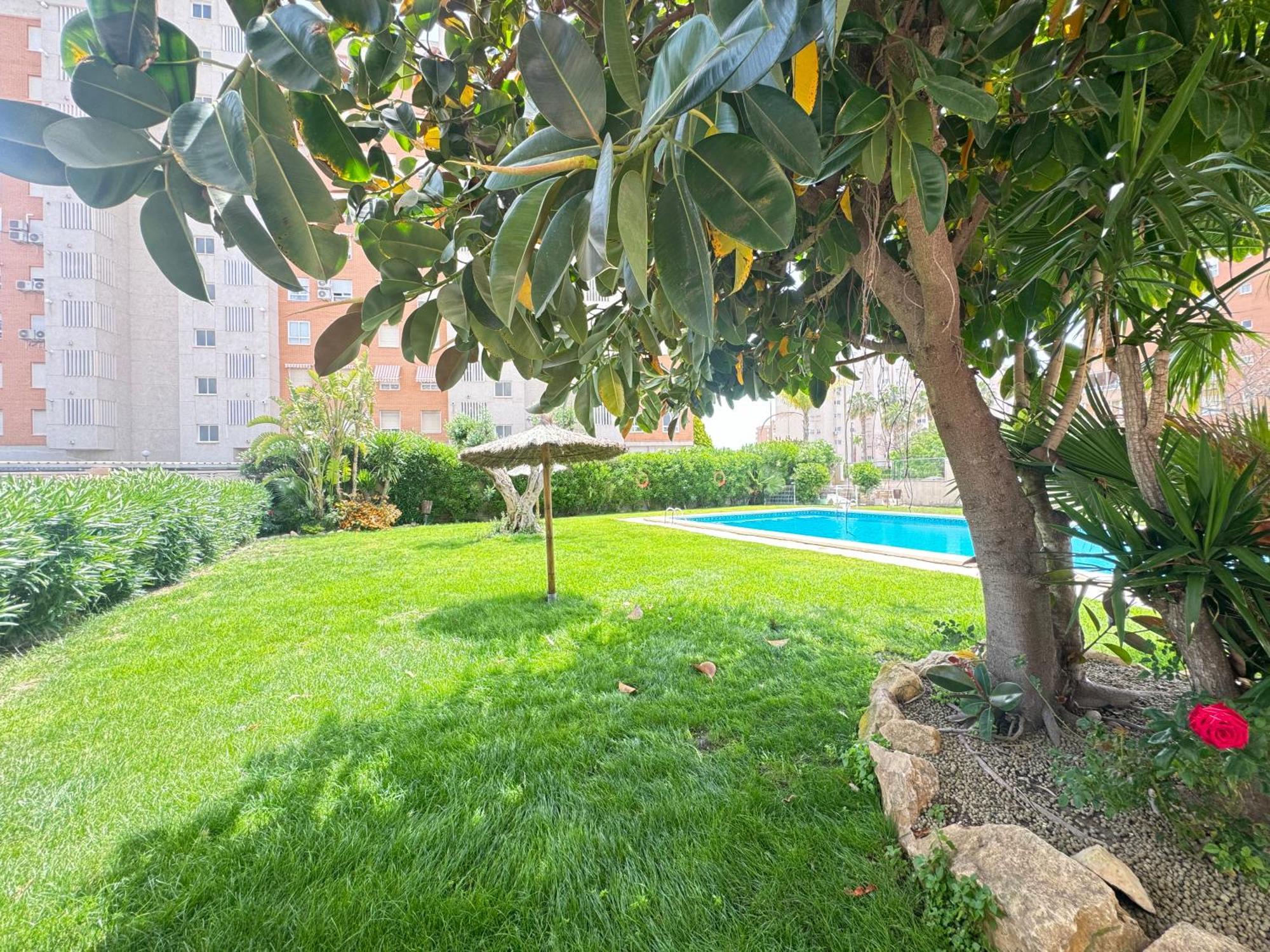 Estudio Con Piscina Alicante Exterior photo